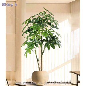 2000~OFFN[| tFCNO[ ^ { CeAO[  p rO ͋C ؕ sv _ԂɍœK A  lHϗtA 