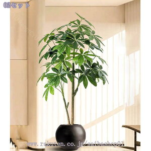 2000~OFFN[| tFCNO[ ^ { CeAO[  p rO ͋C ؕ sv _ԂɍœK A  lHϗtA 