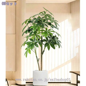 2000~OFFN[| tFCNO[ ^ { CeAO[  p rO ͋C ؕ sv _ԂɍœK A  lHϗtA 