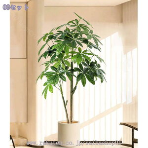 2000~OFFN[| tFCNO[ ^ { CeAO[  p rO ͋C ؕ sv _ԂɍœK A  lHϗtA 