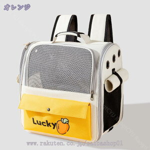 500~OFFN[| oybgL[obO ybgL[bN ybgobO ybgbN L   ˂ lR obN bV ܂ݎ y  킢 LL[