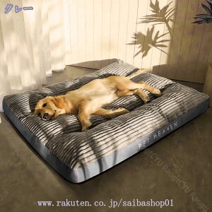 1000~OFFN[|  xbh ybgxbh ybg\t@[ ybgNbV NbV ӂӂ  ΍  q L  O\ ~ ^ ^