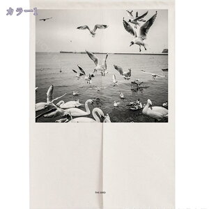 Ԏd؂J[e fM ̂ ډB ۉ O fMh Ռ  k  d؂ CՒf n h g a hAJ[e ˂_J[e fMJ[e L  Lb`