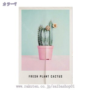 ̂  k g  A ԕ Ȗ 80*120cm ̂ CeA  70*120cm ՔMfM _ ag  CeAG mp ȒPt mp HX u 