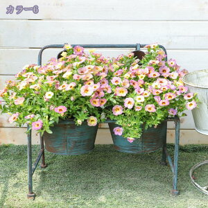 2000~OFFN[| K[fI[igAؔ u ȃfUC ەJbv^ 킢 K[fjO ACAJo[ eB[Jbv^v^[ zCg K[fIuWF o