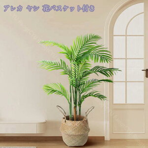 1600~OFFN[| lHϗtA tFCNO[ 傫 CeA  ItBX rO ΂̂炵 CeAO[ ϗtA A zj Vzj ȒP 