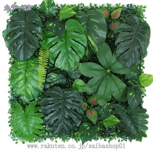 lHϗtA tFCNO[ Ǌ| lH wipl oRj[  ԕ X܃fBXvC lHA ǖʑ tFX Ǌ| lHǂ̎Ő Ήpl UVJbg lH