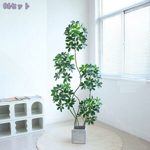 lHϗtA  p ^ CeA fBXvC Aؔt fBXvC \t@/rO//ItBX/X܌ oL tFCNO[ lH~ 180CM RaogtCYU