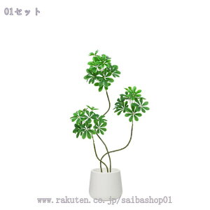 1000~OFFN[| J|bN lHϗtA ^~ tFCNO[ p n^Cv A a zer[EƎ{ y₩ yʐ݌v hodl { lHΉ  X C