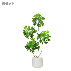 2000~OFFN[| tFCNO[ A   k A rO q X ItBX zer[ fBXvC lHϗtA Aؔt Vzj sv 