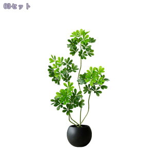 lHϗtA ^ CeA {   Aؔt fBXvC \t@/rO//ItBX/X܌ y Vzj tFCNO[ lH~ 160CM RaogtCYU