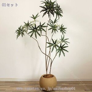 2000~OFFN[| E lHϗtA ^ CeA   ցErOEItBXEX܂ɓKp oIbNX t ȒPݒu ԂȂ tFCNO[ 