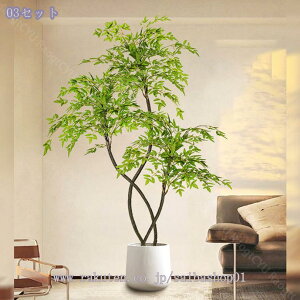 1000~OFFN[| V| lHϗtA ^~ tFCNO[ p n^Cv A a zer[EƎ{ y₩ yʐ݌v hodl { lHΉ  X 