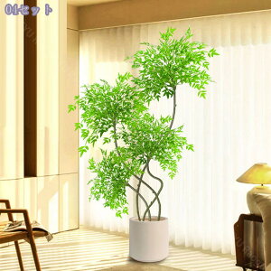 1000~OFFN[| lHϗtA ^ CeA rO Q X ItBXΉ  R[i[ X܃fBXvC A tFCNO[ sv |bgt Mtg 