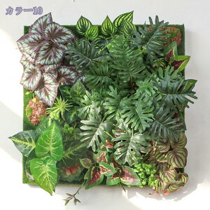 tFCNO[ Ǌ| A EH[O[ A ͂Ȃ { lHϗtA i p CeA wiEH[ T{e A wi s