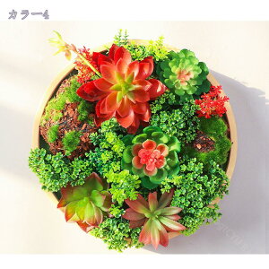 1000~OFFN[| tFCNO[ Ǌ| ی^ ǖʑ t[ CeAO[t[ ̐A fBXvC t[A[g z i` Vv Ǐ Q rO