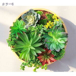 1000~OFFN[| Ǌ| ی^ lHϗtA ̃O[ O[t[ CeA ǖʗΉ fBXvC i` tFCNt[ Ǒ G Q  rO x