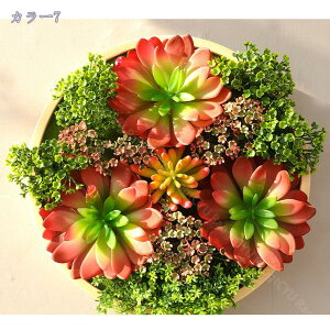 1000~OFFN[| tFCNO[ Ǌ| ی^ ǖʑ t[ CeAO[t[ ̐A fBXvC t[A[g z i` Vv Ǐ Q rO