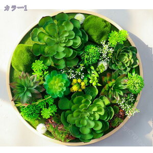 2000~OFFN[| ~^ EH[O[ ͂Ȃ lHϗtA fR[V ~jT{e T{e AA lHA  z[  gC ItBX  CeA 