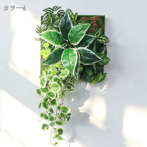 1000~OFFN[| tFCNO[ Ǌ|  A k ͂Ȃ Ǌ|}bg ̓Iȗt A wi ǖʑ T{e ۋ Ђ  Ǌ| EH[fR Xܑ 