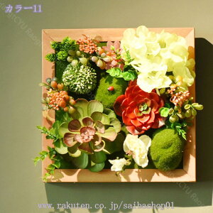 1000~OFFN[| tFCNO[ lHA ~jA A ͂Ȃ   z[fR[V vX`bN ۋ Ђ  T{e CeAG  nMO l