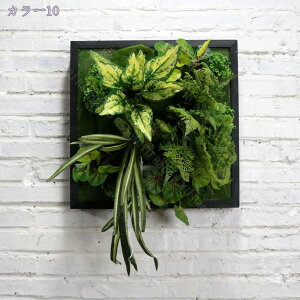 1000~OFFN[| lHϗtA Ǌ| 3D  ͂Ȃ A T{e i`  񂹐A EH[O[ tFCNO[ CeAG k Ǌ| fR[V