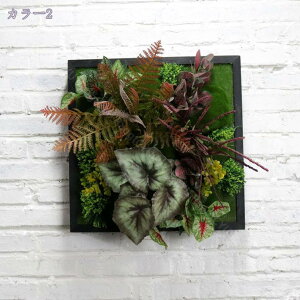 1000~OFFN[| tFCNO[ Ǌ| lHϗtA n A ^ EH[O[ CeA ͂Ȃ ̑ EH[O[ k i Ǐ X rO _