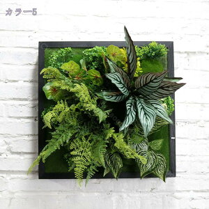 lHϗtA Ǌ| 3D  ͂Ȃ A T{e i`  񂹐A EH[O[ tFCNO[ CeAG k Ǌ| fR[V lHA