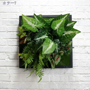 1000~OFFN[| lHϗtA Ǌ| 3D  ͂Ȃ A T{e i`  񂹐A EH[O[ tFCNO[ CeAG k Ǌ| fR[V