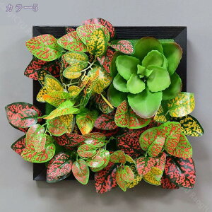 300~OFFN[| lHϗtA Ǌ| 3D  ͂Ȃ A T{e i`  񂹐A EH[O[ tFCNO[ CeAG k Ǌ| fR[V