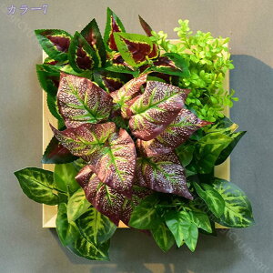 1000~OFFN[| tFCNO[ Ǌ| lH T{e A EH[O[ A ͂Ȃ { lHϗtA i p CeA EH[ wi