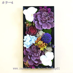 2000~OFFN[| A EH[O[ tFCNt[ gݍ킹 Ǌ|t[ ϗtA wi{[h A[gpl Ǐ tFCNvc  i`G ǖʗΉ 