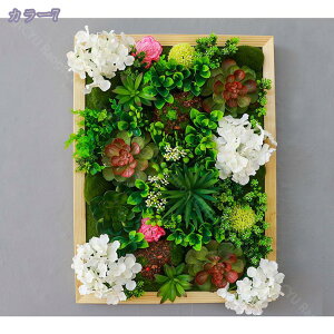 1000~OFFN[| tFCNO[ lHA ~jA A ͂Ȃ   z[fR[V vX`bN ۋ Ђ  T{e CeAG  nMO l