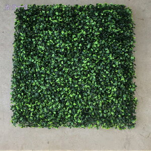 500~OFFN[| Ǌ| tFCNO[ t[tO[ ǖʗΉ A}bg lHŐ lHA  ǖʗΉ EH[ Xܑ ǖʑ A fR[V CeA 