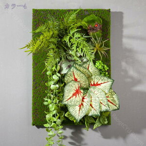 2000~OFFN[| lHϗtA Ǌ| EH[O[ A ͂Ȃ tFCNO[ rO _CjO  Lb` gC  񂹐A T{e wiEH[ fBX