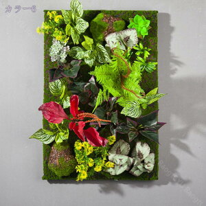 1000~OFFN[| lHϗtA Ǌ| EH[O[ A ͂Ȃ tFCNO[ rO _CjO  Lb` gC  񂹐A T{e wiEH[ fBX