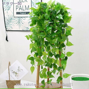 300~OFFN[| Ǌ| lHϗtA ΂̗t   tFCNO[ 艺 ԏ tFCNO[ ̉ VN ACr[̂ ΂̗t EFfBOp[eB[ z[K[f 