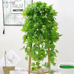 500~OFFN[| Ǌ| lHϗtA ΂̗t   tFCNO[ 艺 ԏ tFCNO[ ̉ VN ACr[̂ ΂̗t EFfBOp[eB[ z[K[f 