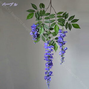 300~OFFN[|  Ǐ [Y Ǌ| lHϗtA ͂Ȃ N[ [u [X XbO VNt[ A[eBtBVt[ EH[fR Ǐ [Y o 