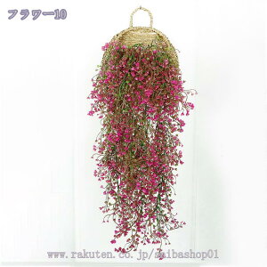 300~OFFN[| Ǌ| lHϗtA ͂Ȃ Ǐ tFCNO[ A[gt[ a j Mtg zj Ǌ| A[eBtBV tFCNt[  hCt[ 