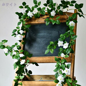 500~OFFN[| lHϗtA Ǌ| ̉ Ηt ͂Ȃ N[ [u [X XbO lHϗtA EH[O[  CeAG lHA tFCNO[ Ǌ|