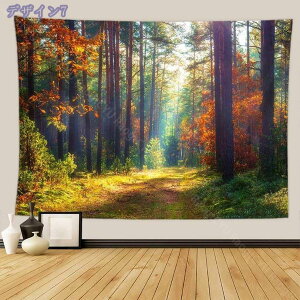 777~OFFN[| ^yXg[ Ǌ| i R ؘR̐X Bep wi Ԏd؂J[e  CeAG  |X^[ @\Ǐ菬 ₨X̑ Vj 