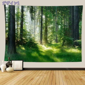 777~OFFN[| ^yXg[ Ǌ| i R ؘR̐X Bep wi Ԏd؂J[e  CeAG  |X^[ @\Ǐ菬 ₨X̑ Vj 