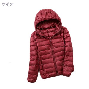 1000~OFFN[| _EWPbg fB[X ~ oR V[g y  Cg_E t[h LeBO h AE^[ g h AEghA 傫TCY  ʋ h 㒅 