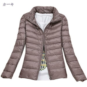 1000~OFFN[| y _EWPbg fB[X _ER[g nClbN V[g Cg_E AE^[  h h H~R[g ؍ V[gR[g EgCg _E