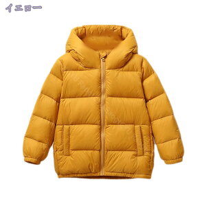 q R[g  t[ht WPbg  OJ Wbp[ LbY g _ER[g V[g ւ֗ 㒅 h h i ~ AE^[EFA ʉ ʊw VN aj