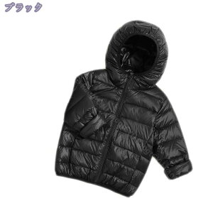 q R[g  t[ht WPbg  OJ Wbp[ LbY g _ER[g V[g ւ֗ 㒅 h h i ~ AE^[EFA ʉ ʊw VN aj