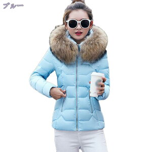 300~OFFN[| _ER[g fB[X R[g _EWPbg ȃWPbg V[g t@[t[ht h  h JWA H ~ ȓ n aC  