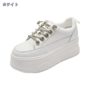 300~OFFN[| Cq[Xj[J[ fB[X Xj[J[ ^C  r V[NbgV[Y Xj[J[ y ʋC ɂ [XAbv q[Abv 6.5cm gAbv 