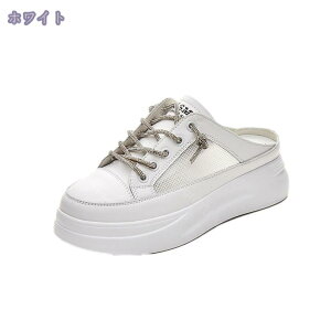 zCgV[Y ƂȂ ~[ ₷ T{T_ AEghA Xb| [Jbg  gh JWA wlC 20 30 40 Xbp ~[ Xj[J[ X